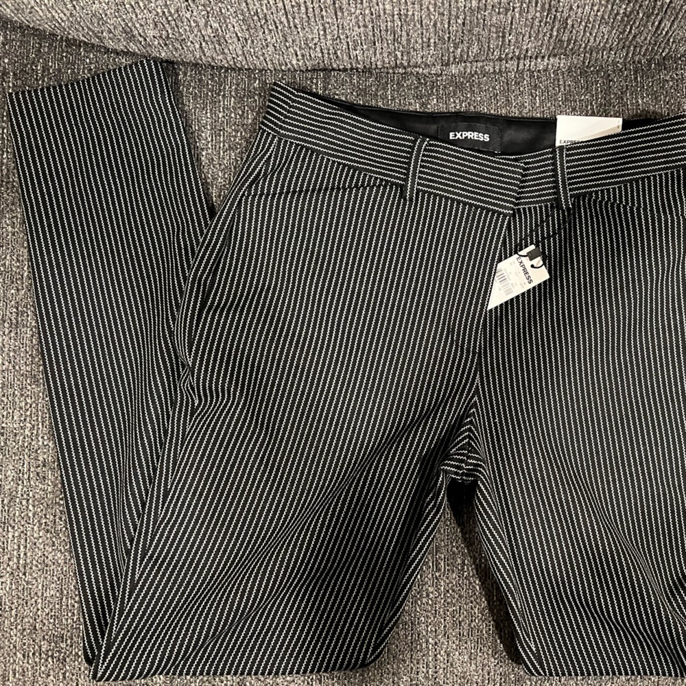 Express dress pant